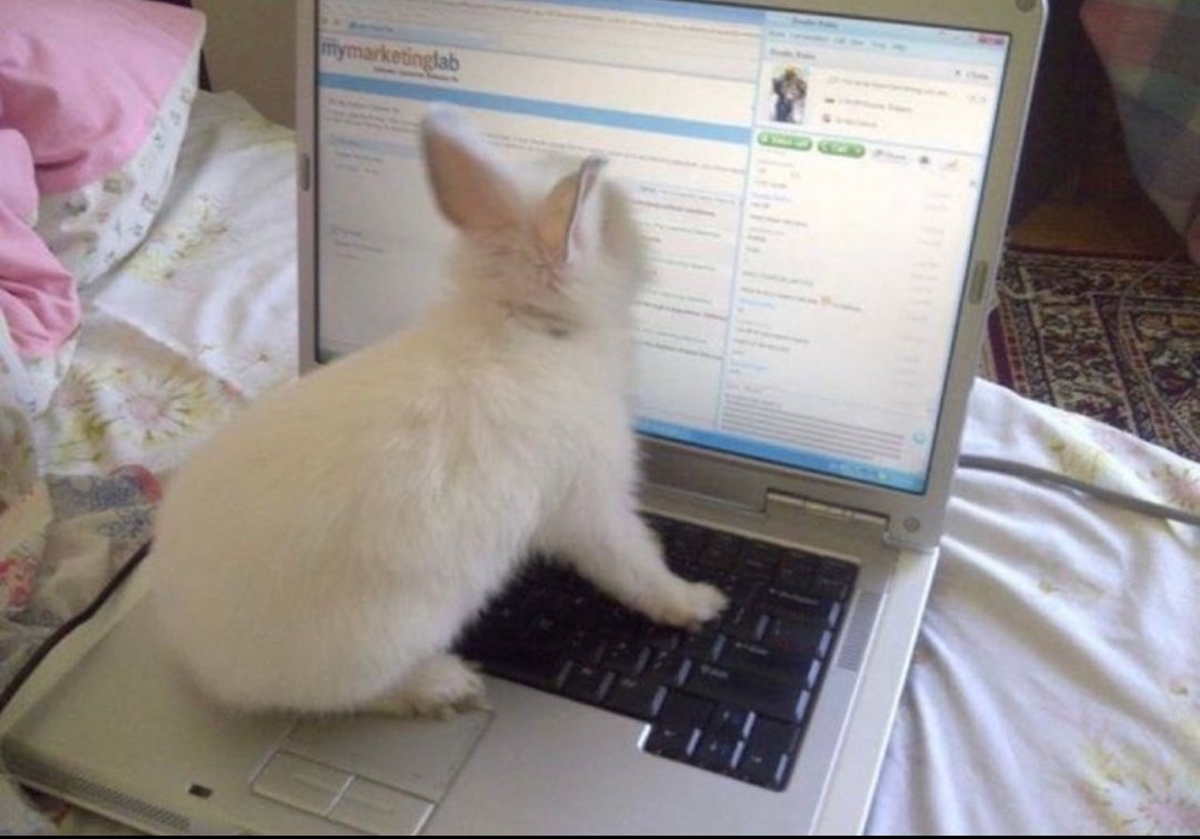 no me saquen fotos mientras tuiteo