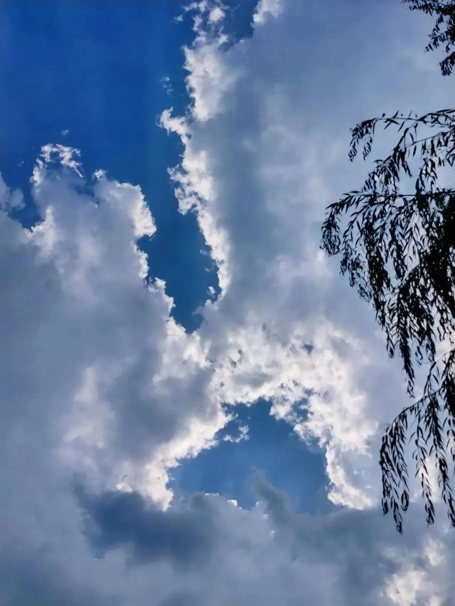 Always There is a way for you, as long as you have enough energy, even to the sky😂