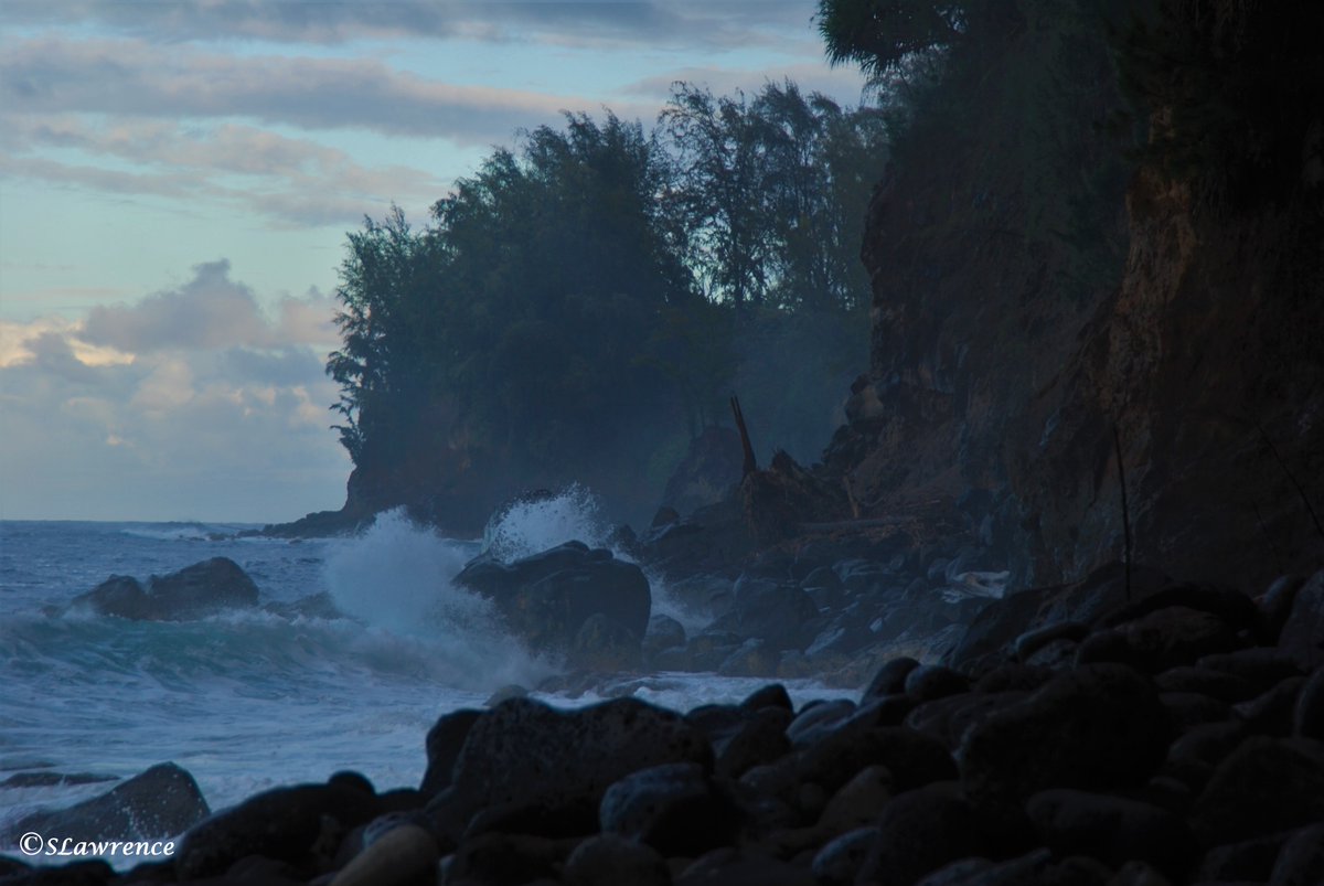 @xobreex3 Can't miss a #RockinTuesday! 
A wet and moody Hawaiian coast. Misty too!