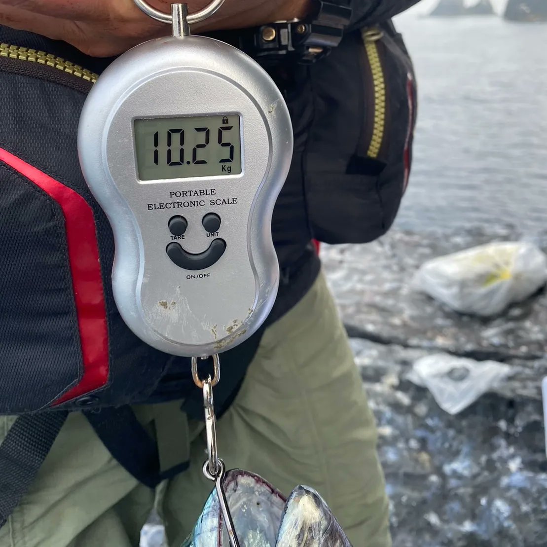 6月24日男女群島帆立岩にて釣友が90cmオーバー、10.25kgの化け物スマガツオを釣り上げました！
ネットで調べた限り過去最大は10.05kg。
という事は日本新記録？？