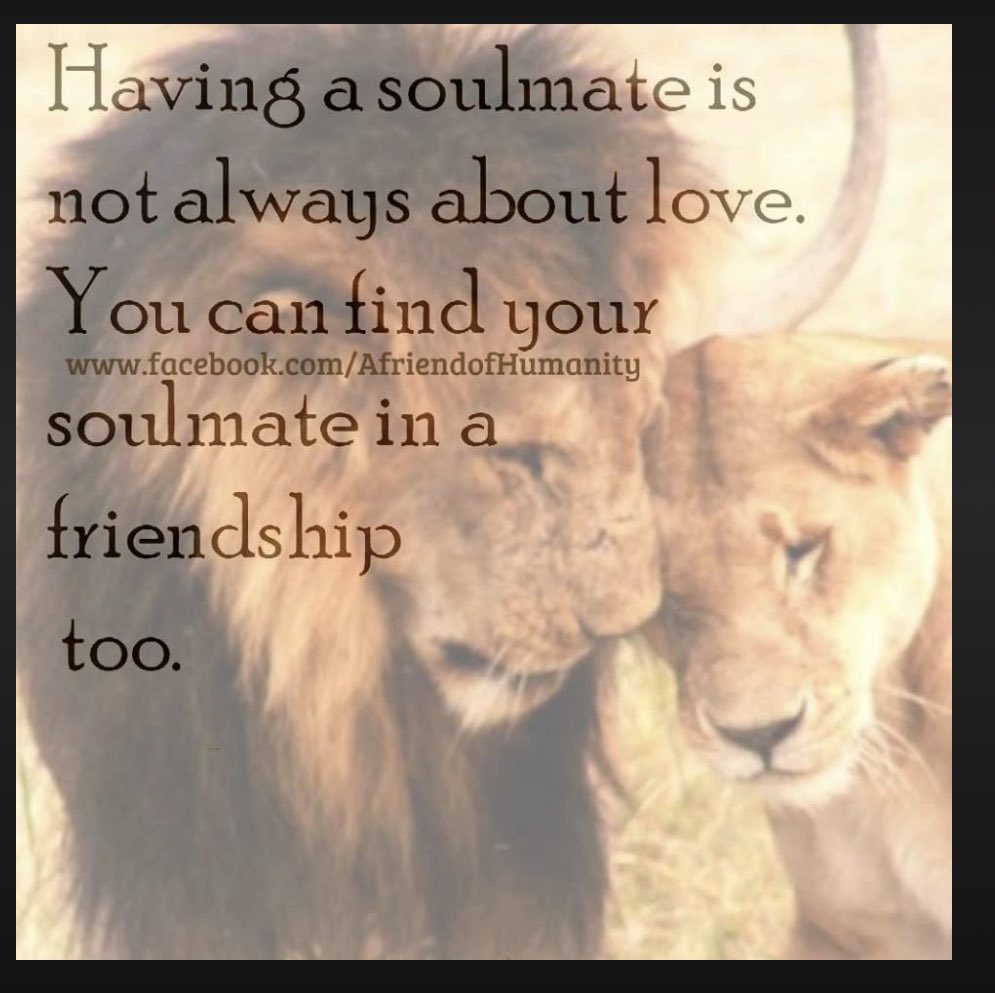 IntrovertedNaturally (@naturerunner91) on Twitter photo 