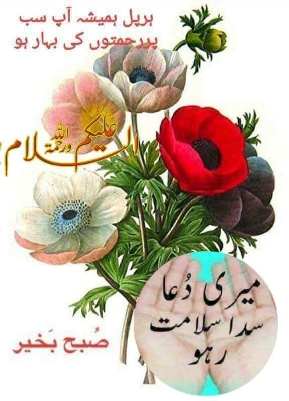 Muhammad Kashif (@m_k779) on Twitter photo 