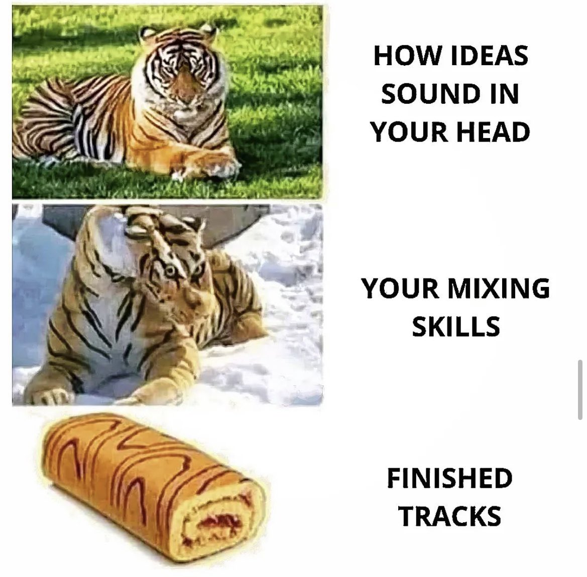 Future_Samples's tweet photo. 🐯

Want a free sample pack? ➡️ https://t.co/gM9pM6TkTW
Follow @Future_Samples for more music production content! 

#musicproduction #musicproducermemes
#beatmaker #samplepacks #musicmemes #musicmeme #musicianmemes #producermemes #musicianlife #flstudiomemes #futuresamples https://t.co/WnIo804isC
