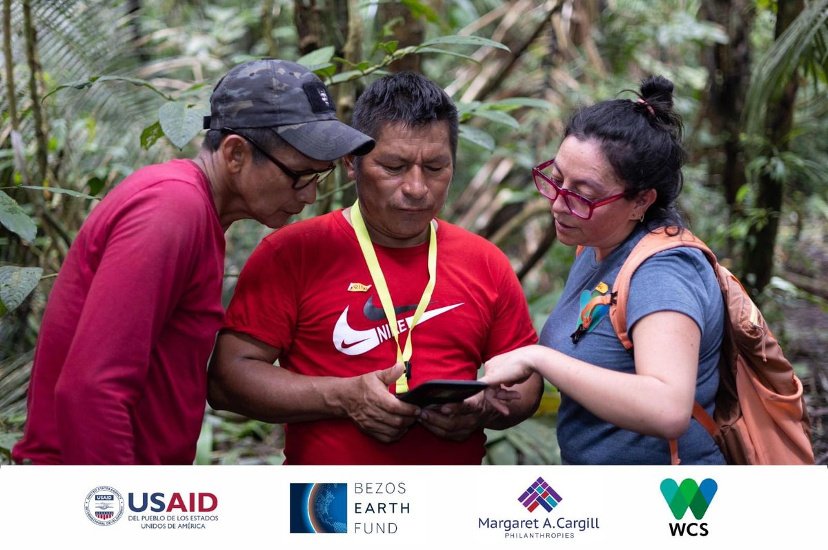 WCSEcuador's tweet photo. #NoticiasWCS | Monitores comunitarios de la Amazonía ecuatoriana participaron en un taller para intercambiar experiencias y fortalecer capacidades en el monitoreo de #FaunaSilvestre y el uso de herramientas tecnológicas para la conservación. 🌱

➡️ https://t.co/aKwGizmj4i
🖐 💚💙 https://t.co/Pj6Q2YBY9e