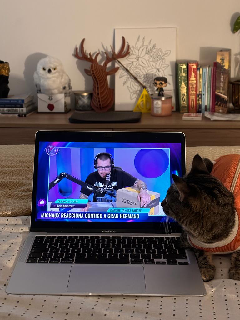 jozuto's tweet photo. @ClaudioMichaux  aquí una Michi fan de #GranHermanoCHV https://t.co/M3HI3lp9tO