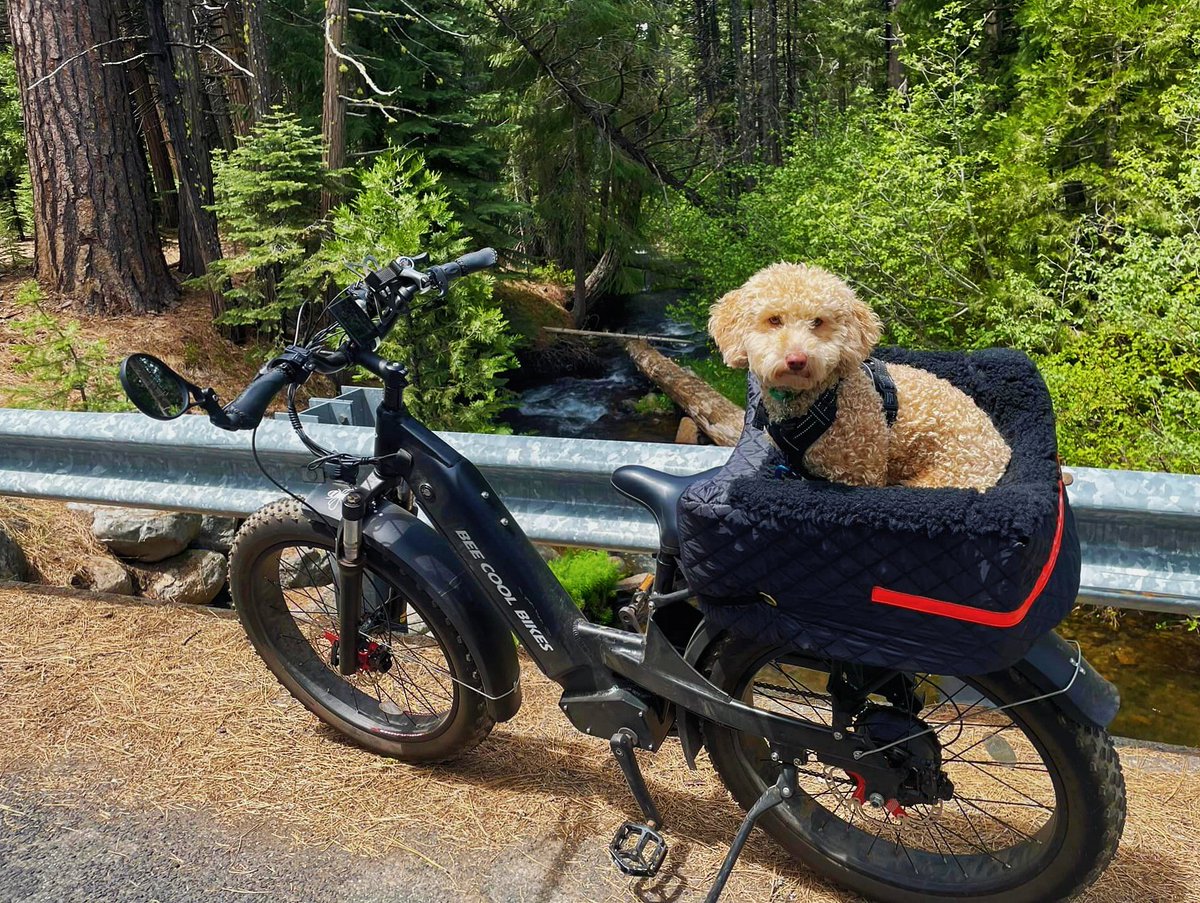 BeecoolBikes's tweet photo. ๐๐ฒ๐ฒ๐๐ผ๐ผ๐น ๐๐ถ๐ธ๐ฒ๐ | ๐จ๐ป๐น๐ผ๐ฐ๐ธ ๐ฌ๐ผ๐๐ฟ ๐ฆ๐๐บ๐บ๐ฒ๐ฟ ๐๐ฑ๐๐ฒ๐ป๐๐๐ฟ๐ฒ๐
#Experience the #thrill of trails and #peaks effortlessly, master every #challenge with #ease, and redefine outdoor #adventure.
https://t.co/FFcNU4cLh7
#beecoolbikes #ebike #stepthru #mountainbike https://t.co/nlZHBbJijL