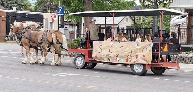 Sue Defreyne tweet media