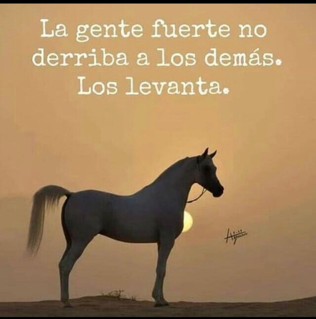 psicologia_g's tweet photo. 🙏🏼 https://t.co/GvmTrZ9ZQk