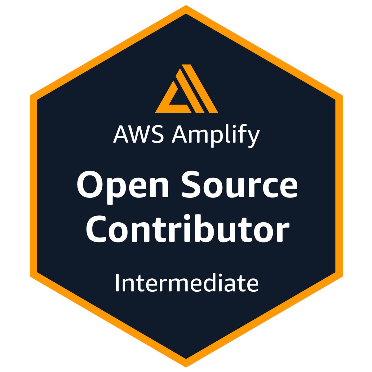 dayjournal_nori's tweet image. なんかいきなりAWS Amplifyのバッジがきた⁉️
credly.com/badges/0938e41…

#AWScommunity #AWSAmplify