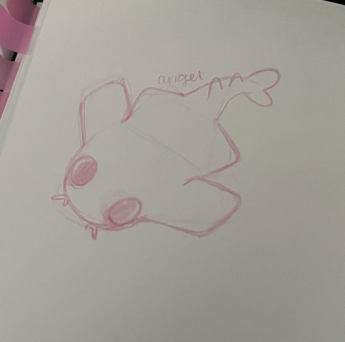 apples mcashely 🍎🦈 | insufferably gay tweet media