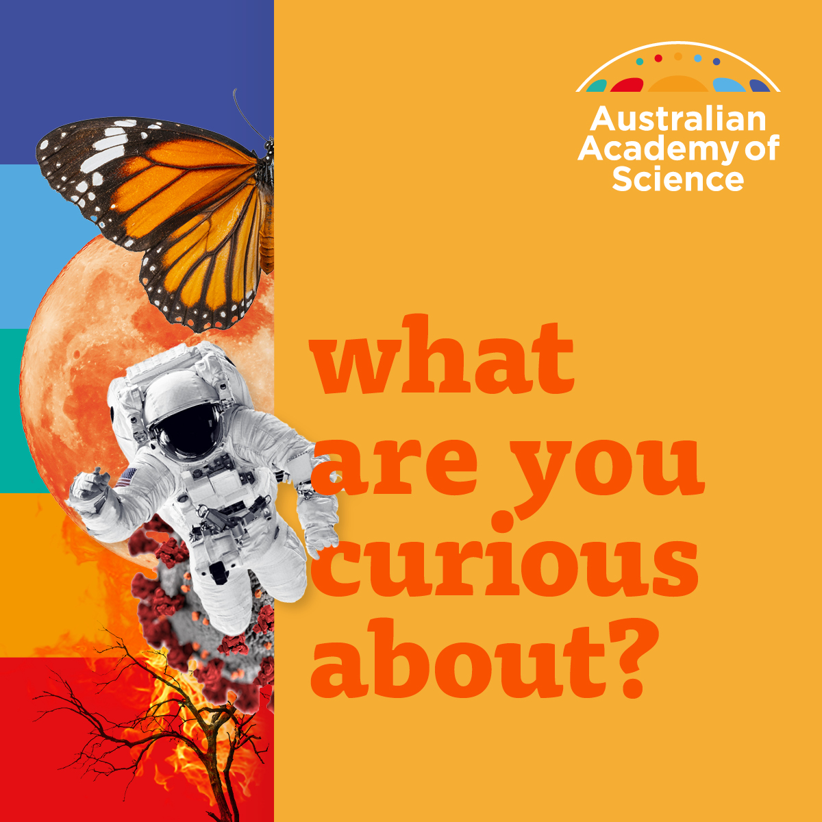 Australian Academy of Science on Twitter: 