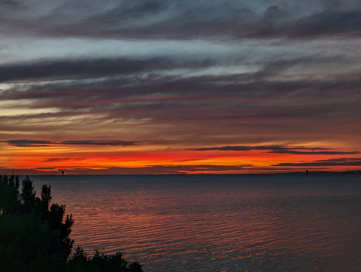 KarenDwyer12's tweet photo. Gorgeous morning π #Geelong #CorioBay https://t.co/w0Ee0qWct2
