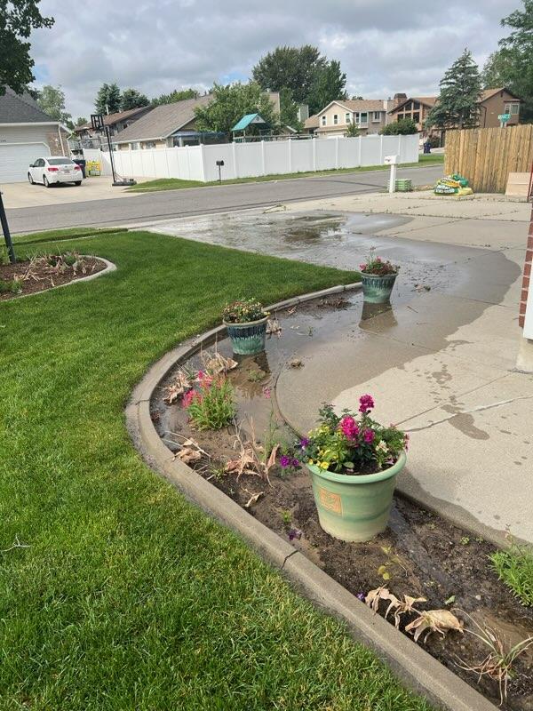 CLSigulinsky tweet media