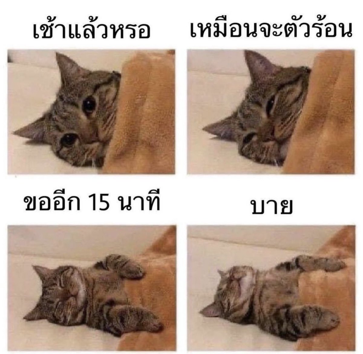 SABENZZ's tweet photo. เหมือนเห็นตัวเองเลยอะ 5555555555555555555555555555555555555555555555555555555 https://t.co/c6TxHbwpDF