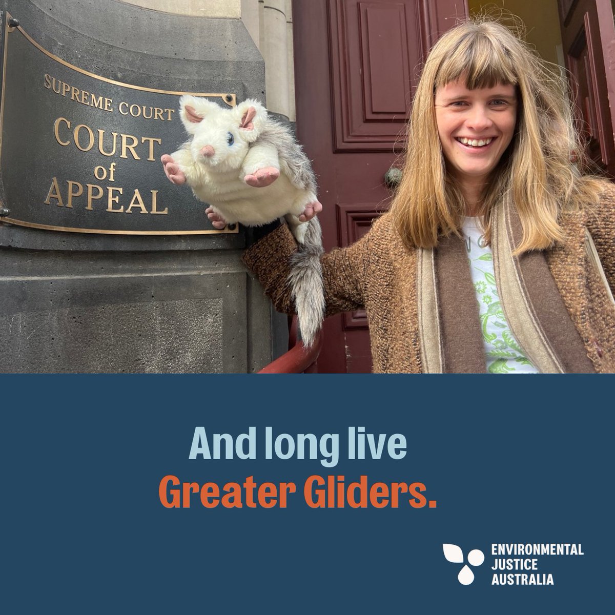 Today is an amazing day for all the people who have fought to save Victoria's native forests, whether it was in the court room, in the streets, or in the forest surveying for threatened species.