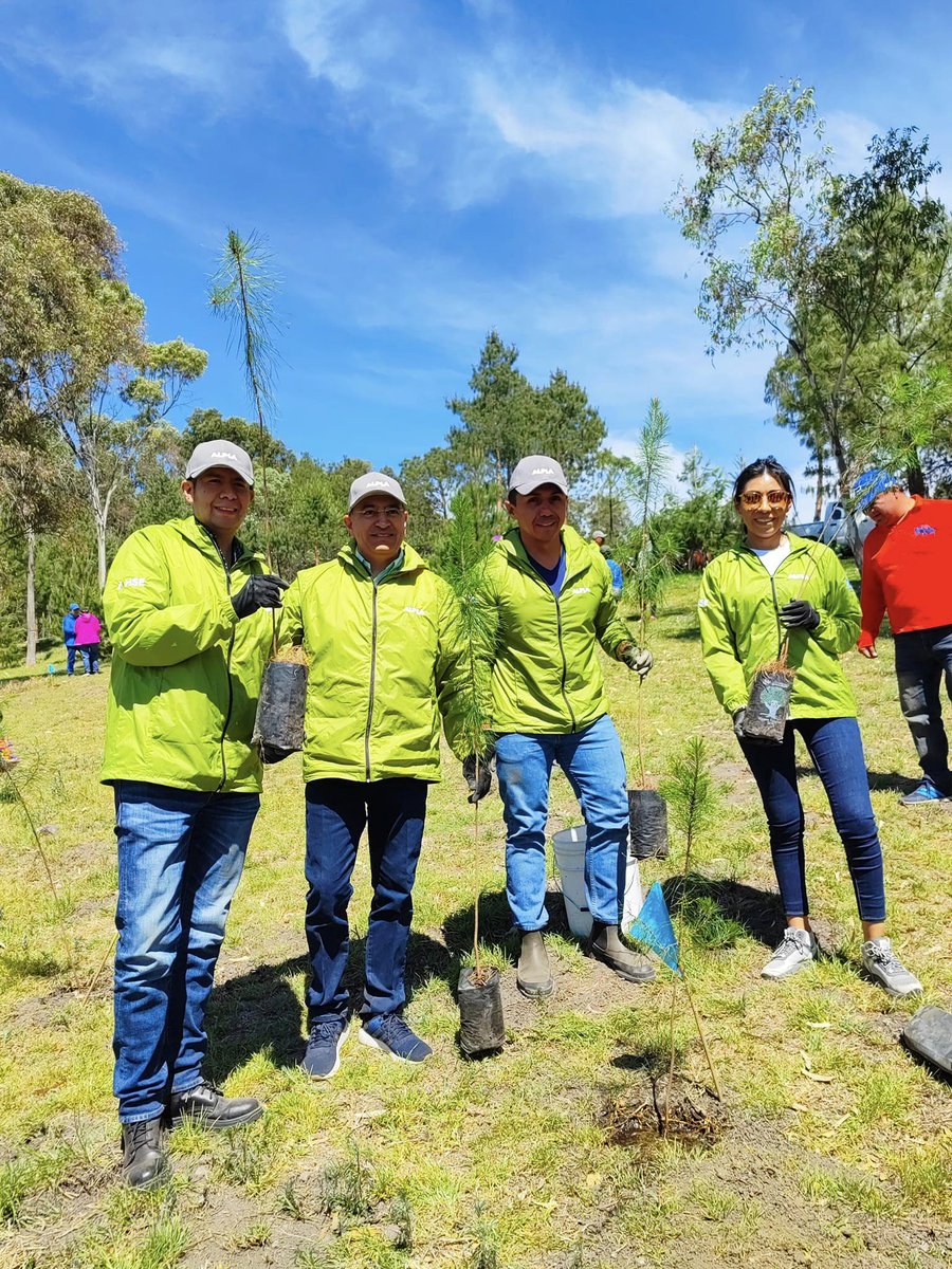 En marcha importante campaña de Reforestación en #Toluca <a href="/JaimeLopezGo/">Jaime López</a> 
En el comentario de hoy. 
callejoninformativo.com.mx/2023/06/26/cal…