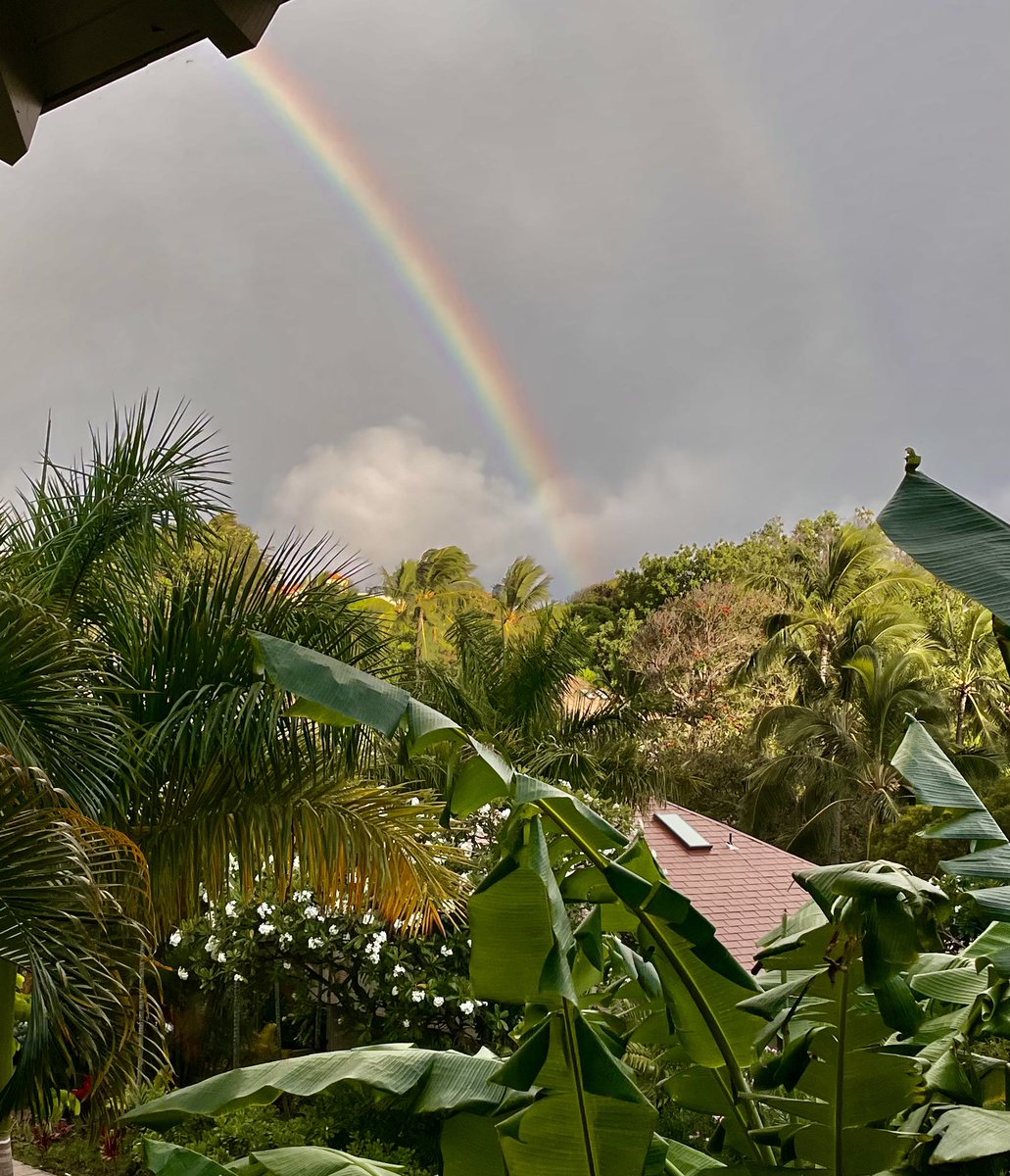 Aurelian Giles tweet media