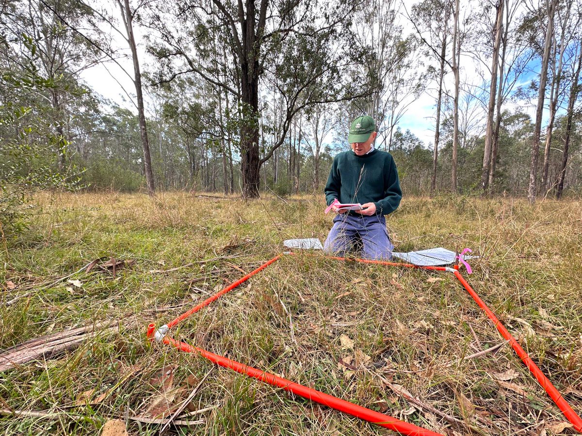 David John Eldridge (@dj_eldridge) on Twitter photo Another <a href="/BugNet_research/">BugNet</a> site established by Team Bug BEES in subhumid grassy #woodland <a href="/loveyou_leafyou/">Jana Stewart</a> @joeatkinsonii <a href="/SuzEveringham/">Suz Everingham</a>
<a href="/annekempel/">annekempel</a> <a href="/AllanEcology/">Allan Ecology Group</a> <a href="/UNSWScience/">UNSW Science</a>
Check out our video too
youtube.com/watch?v=2xMPq1⦠Another <a href="/BugNet_research/">BugNet</a> site established by Team Bug BEES in subhumid grassy #woodland <a href="/loveyou_leafyou/">Jana Stewart</a> @joeatkinsonii <a href="/SuzEveringham/">Suz Everingham</a>
<a href="/annekempel/">annekempel</a> <a href="/AllanEcology/">Allan Ecology Group</a> <a href="/UNSWScience/">UNSW Science</a>
Check out our video too
youtube.com/watch?v=2xMPq1ā¦