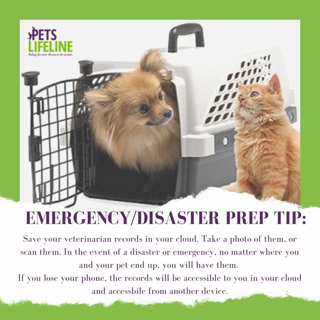 June is #PetPreparednessMonth: 
Are you prepared to evacuate in a disaster with your pet? 
An important step to take now is to ensure you have quick and easy access to your pet's veterinarian records. 
#PetPreparedness