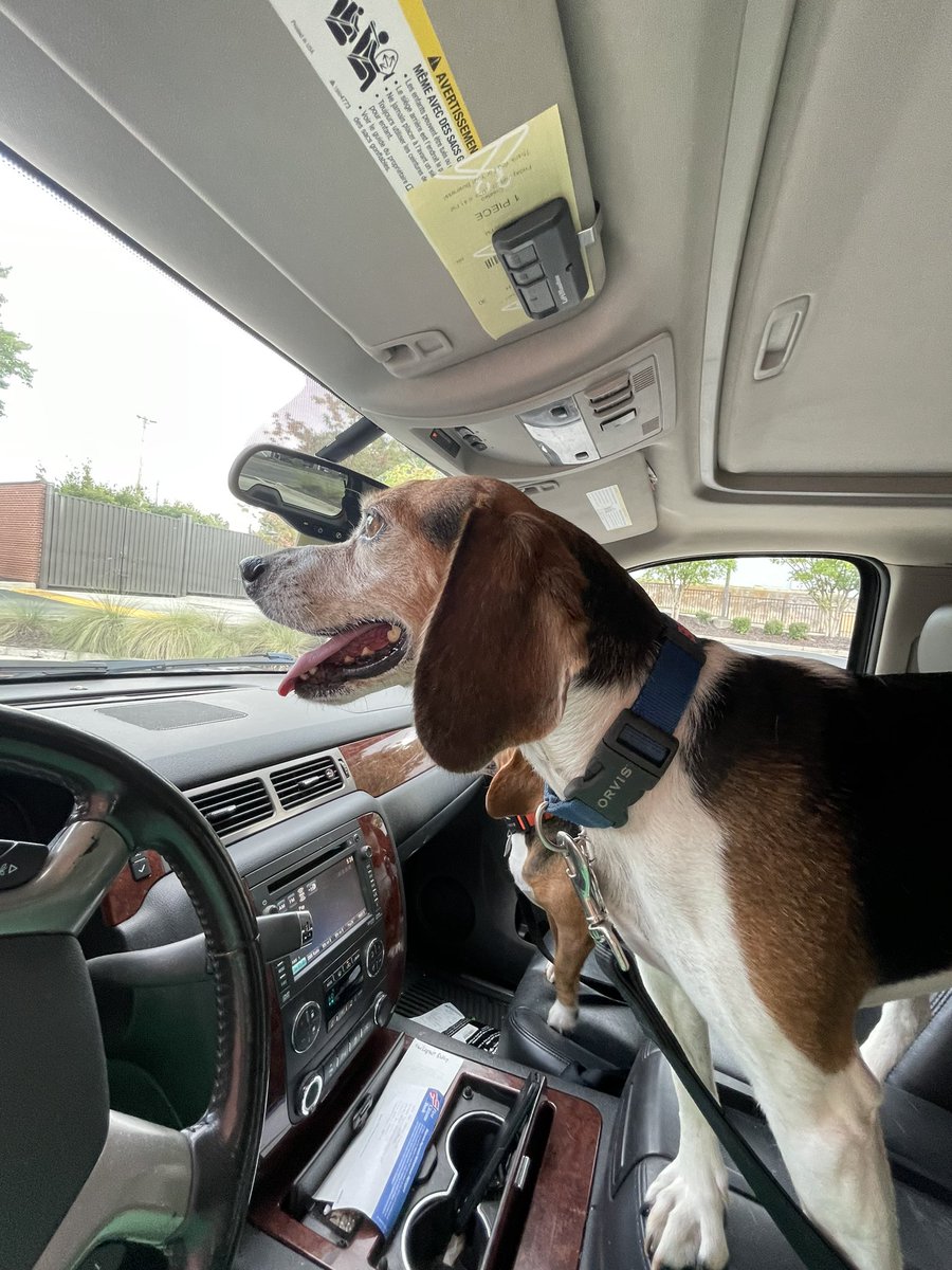 “Mommmm, everything the light touches is our kingdom’ -Bella, probably 👑