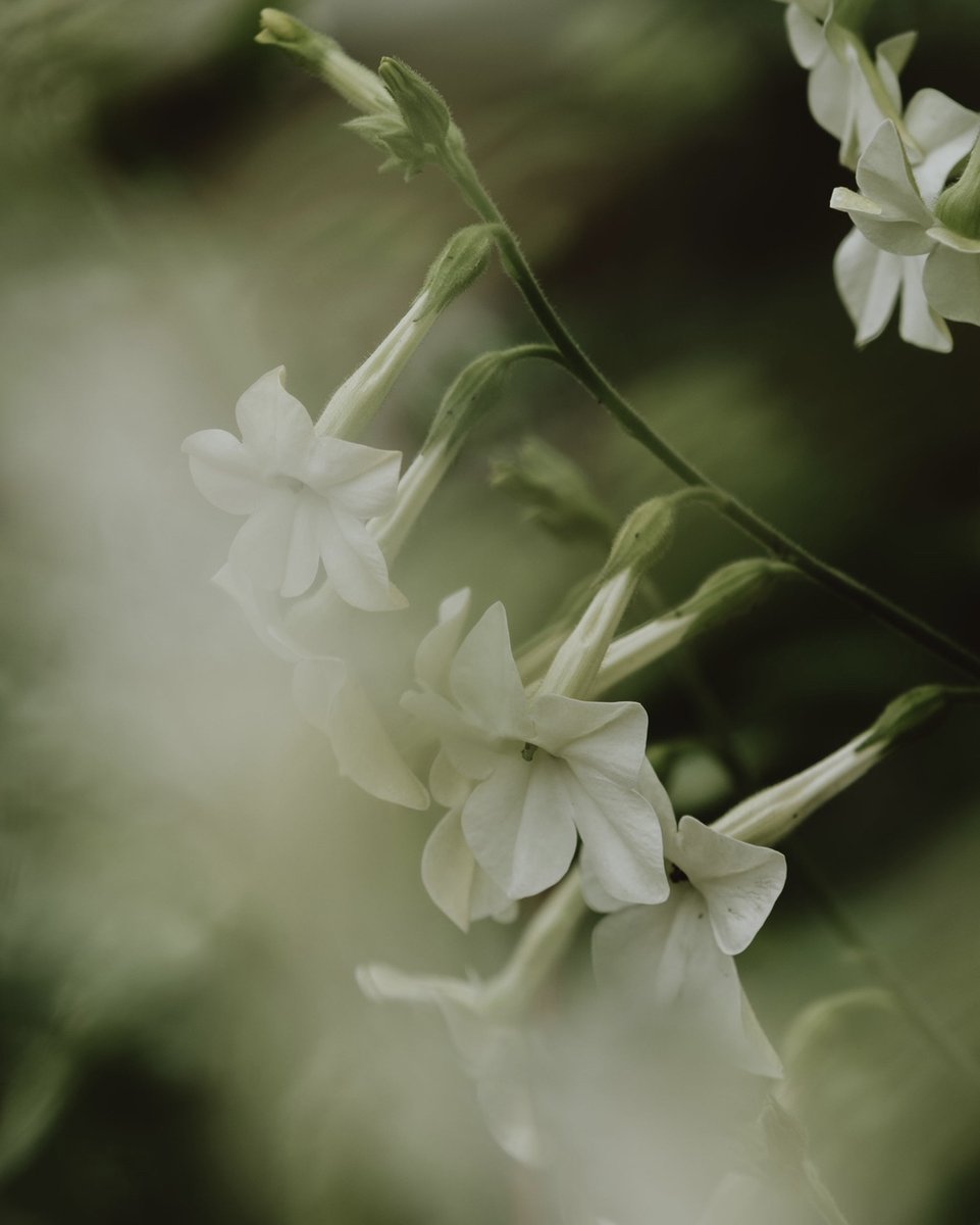 Kate Cullen Coaching & Photography tweet media