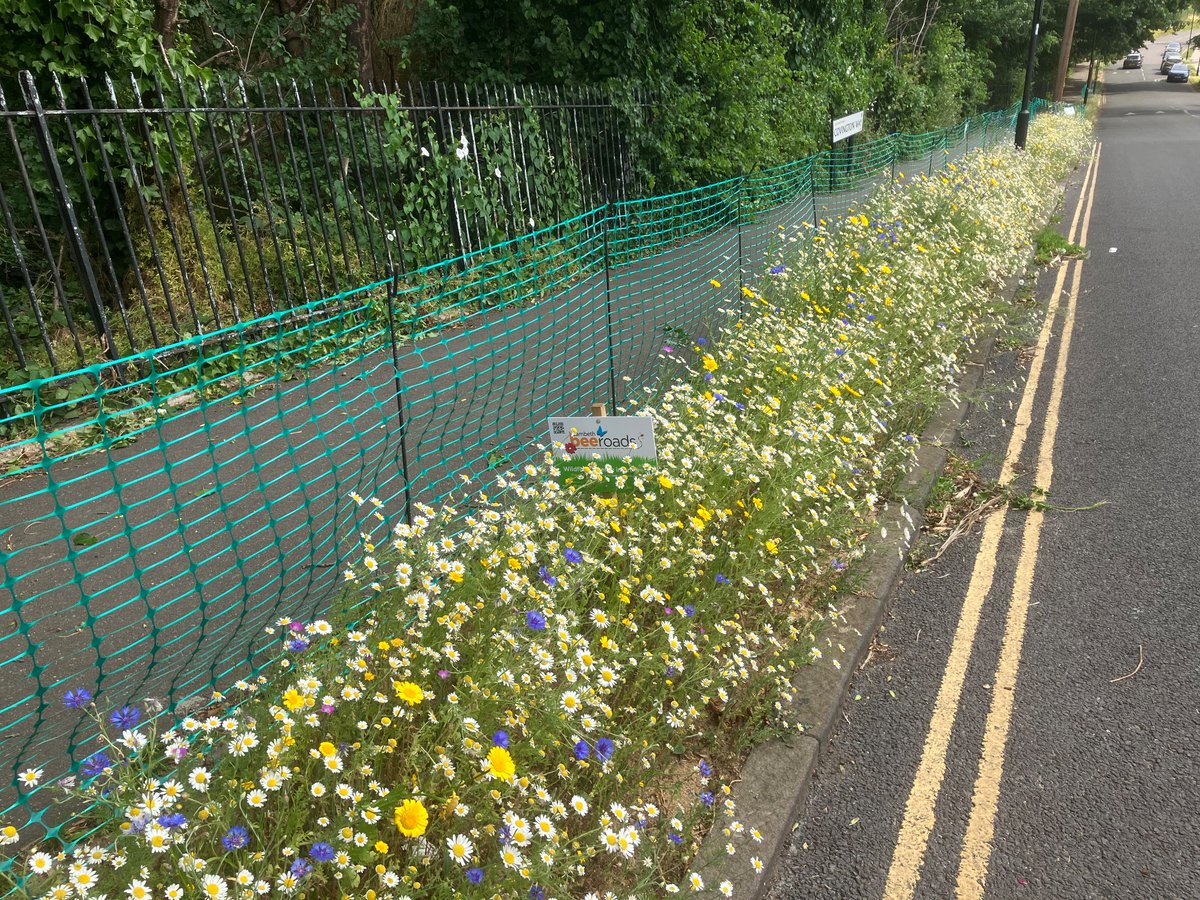 Lambeth TCV tweet media