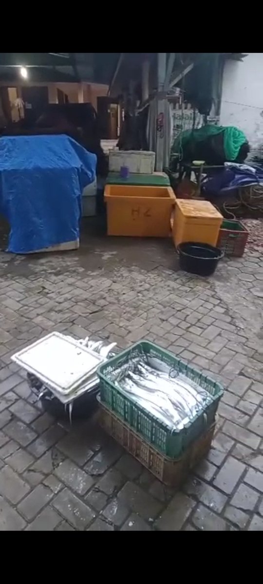 FikiEfendi20's tweet photo. Selasa (27/06/2023), Fiki Efendi, Luhkan Kab Pamekasan, di KUB Sumekar desa tamberu kec batumarmar, melaporkan hasil tangkapan ikan layur 280 kg, harga Rp.20.000/Kg #LuhLapor @bppp_banyuwangi @puslatluhkp #tangkap #GiatLuhkanSatminkalBwi #Pmekasan https://t.co/ckI5621gu5
