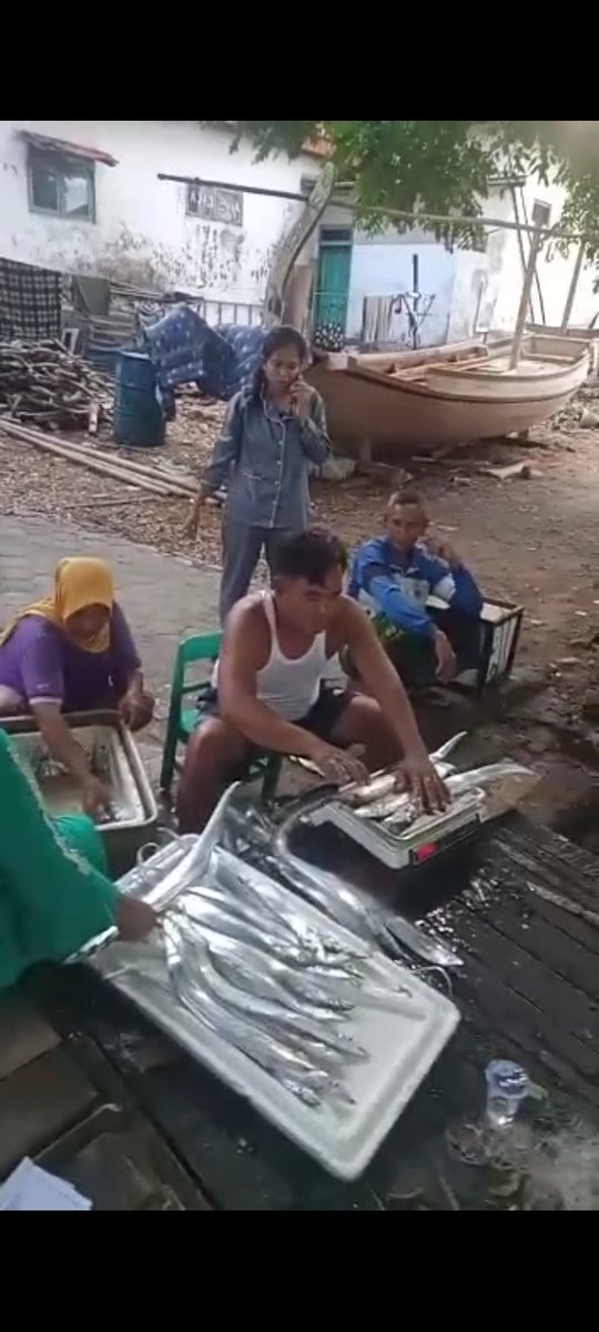 FikiEfendi20's tweet photo. Selasa (27/06/2023), Fiki Efendi, Luhkan Kab Pamekasan, di KUB Sumekar desa tamberu kec batumarmar, melaporkan hasil tangkapan ikan layur 280 kg, harga Rp.20.000/Kg #LuhLapor @bppp_banyuwangi @puslatluhkp #tangkap #GiatLuhkanSatminkalBwi #Pmekasan https://t.co/ckI5621gu5