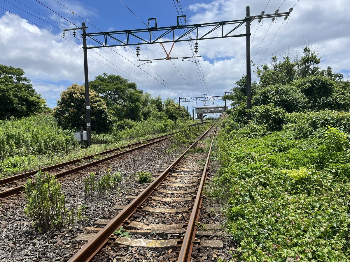 kmana26's tweet photo. 干潟を散歩。あっつい！もうすぐ夏だー https://t.co/Wf0aiQ7y10