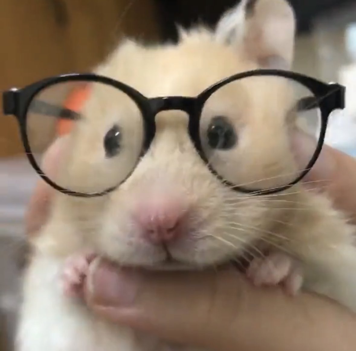 뭐지 구라겠지?