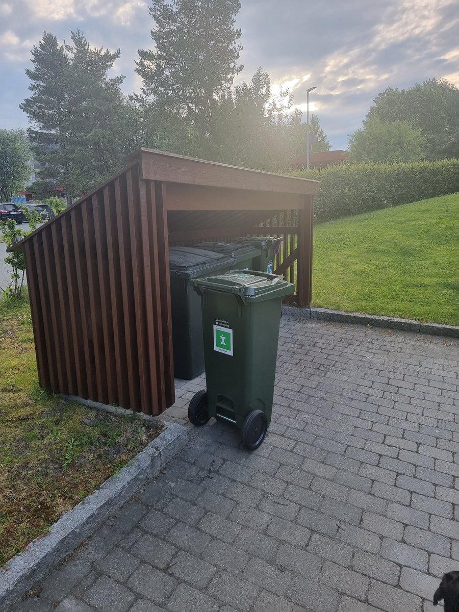 Kanskje den minst gjennomtenkte innføringen av nye beholdere for matavfall i <a href="/Trondheim/">life</a> - en hel by fylt av for små søppelbeholder skur 🙄
