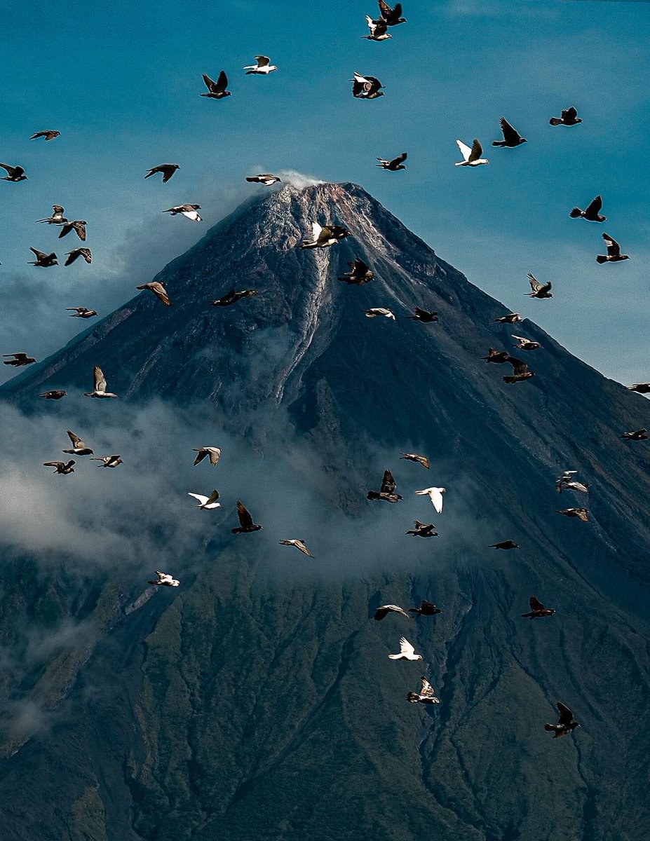 STUNNING MAYON 🌋

LOOK: A photographer perfectly timed captured the view of Mayon Volcano coinciding with flock of birds soaring over the stunning Mayon. 

 📸Michael Fugnit