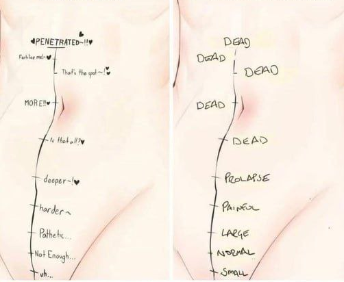 Aellagirl's tweet photo. The vast majority of penis sizes are adequate https://t.co/MFhE3ULPUa