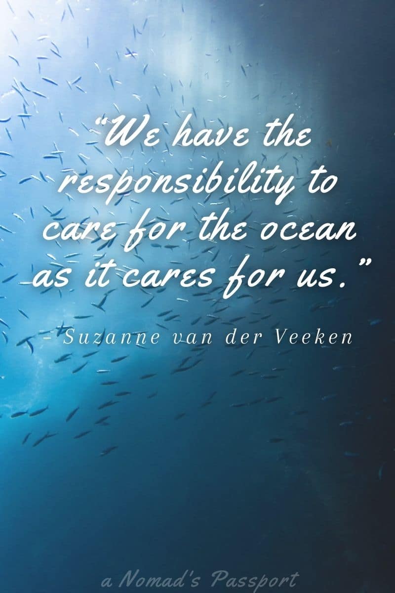 Just a gentle reminder that the ocean and the environment needs us as much as we need them.

#scubadiving  #scubadivingsharks #safediving #surfing #surfingsuits #surfinggear #Divinggear #DivingEquipment #divingdestinations #topdiving #divinglifestyle #divingislife