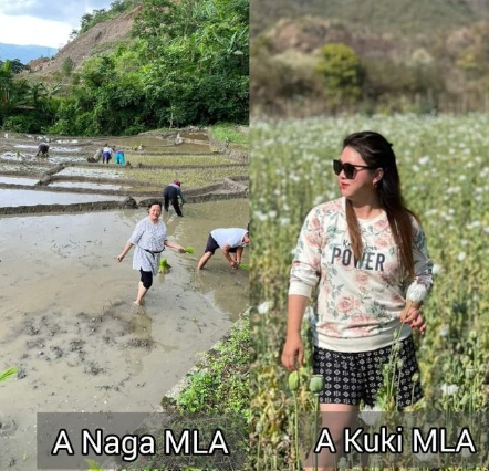 chanulembi21773's tweet photo. Observe the contrast depicted in this image: one captures a Naga MLA actively tilling the soil in agricultural fields, while the other showcases a Kuki MLA striking a pose amidst poppy fields. #nopoppy #savemanipur @PMOIndia @AmitShah @NBirenSingh @IndiaTodayNE @IndianExpress https://t.co/LnXavcosfx