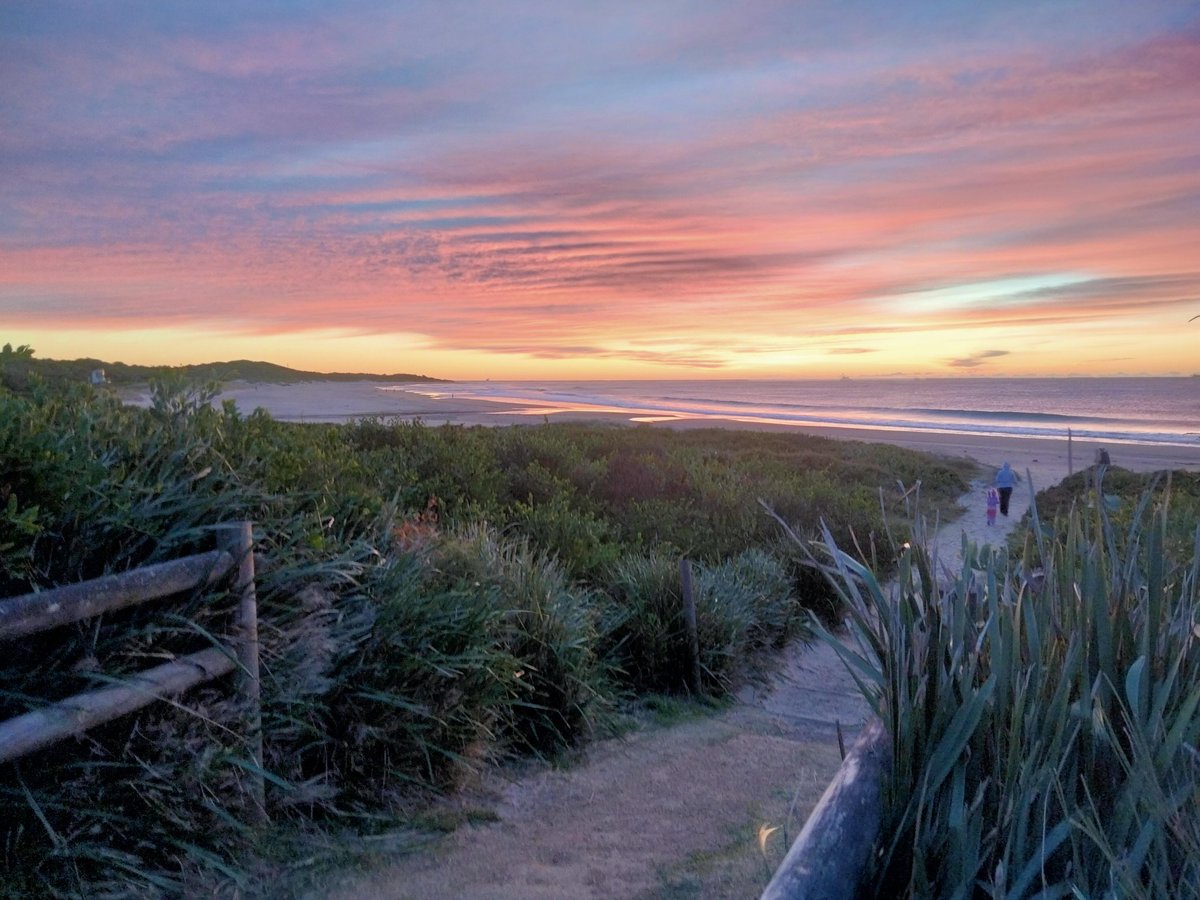 Bonnie Amelia Dean (she/her) tweet media