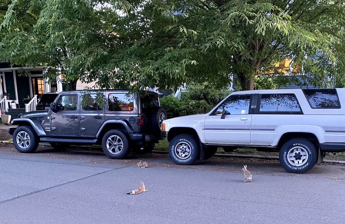 Alexandra Matthiesen tweet media