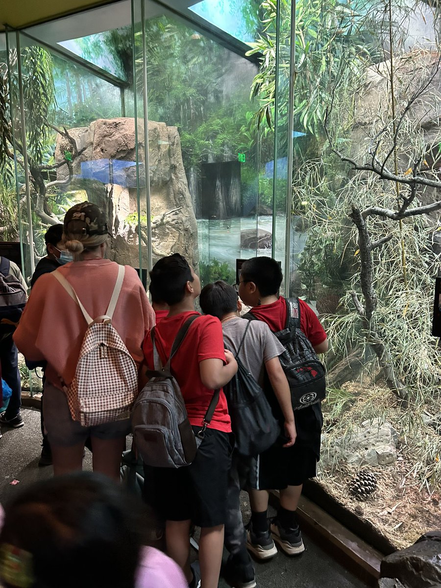 Brigette Uribe (@bluribe5) on Twitter photo Killian Summer School goes to the LA Zoo to explore animals in their habitats. What a great field trip!! <a href="/killianschool/">Killian School</a> <a href="/RowlandSchools/">Rowland Schools</a> Killian Summer School goes to the LA Zoo to explore animals in their habitats. What a great field trip!! <a href="/killianschool/">Killian School</a> <a href="/RowlandSchools/">Rowland Schools</a>