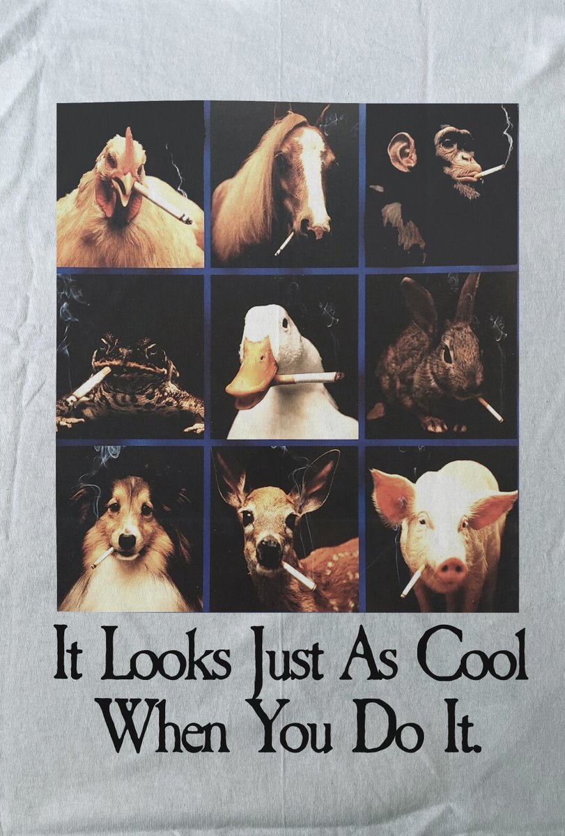 shirts that go hard tweet media