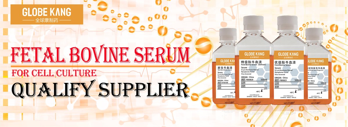 cellculturelab's tweet photo. #fetalbovineserum #fbs #animalserum #cell #cellculture #ayeroxo #globalkang #globekang #intlkang #lifescience https://t.co/c9IgUTQvAn