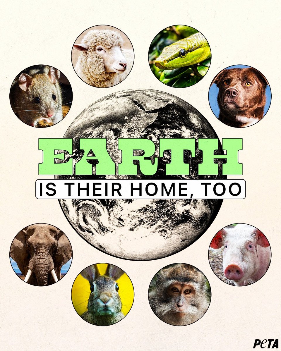 La Terra è la casa di tutti gli esseri viventi. Go Vegan!!! #plantbased #govegan #animalrights #veganfood #vegan #nomeat #veganism #crueltyfree #veganlife #vegetables #nomilk #vegano #veganrecipes #climatechange #veganfortheanimals #veganfortheplanet #veg #empatia