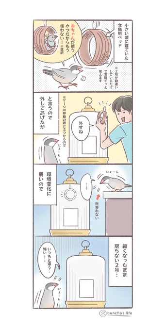 使わなくなった文鳥用ベッドを外したところ、環境変化に弱いので細くなったまま戻らない2号
#文鳥 
#4コマ漫画 

*過去作ダウンロードできます!(固定ツイート参照) 