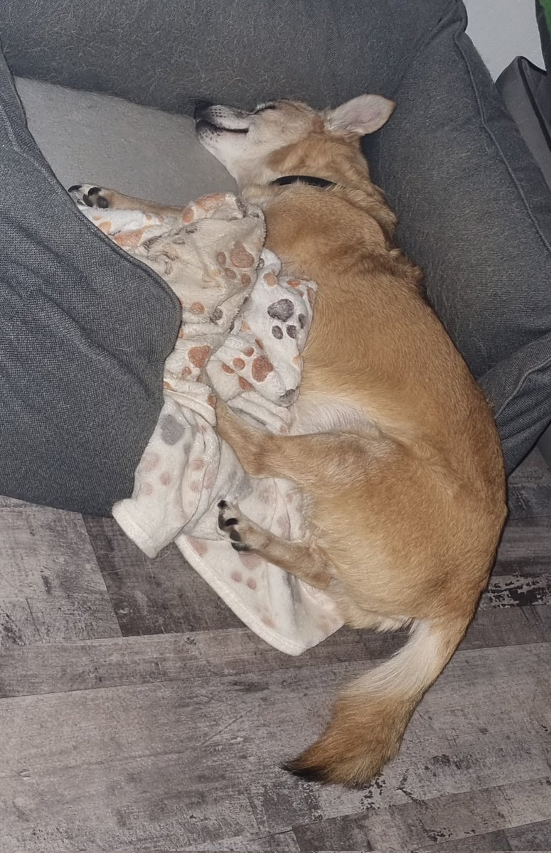 Ich kann nicht verstehen warum Mama gestern abend gelacht hat🤷🏻‍♀️🙄 ihr etwa??