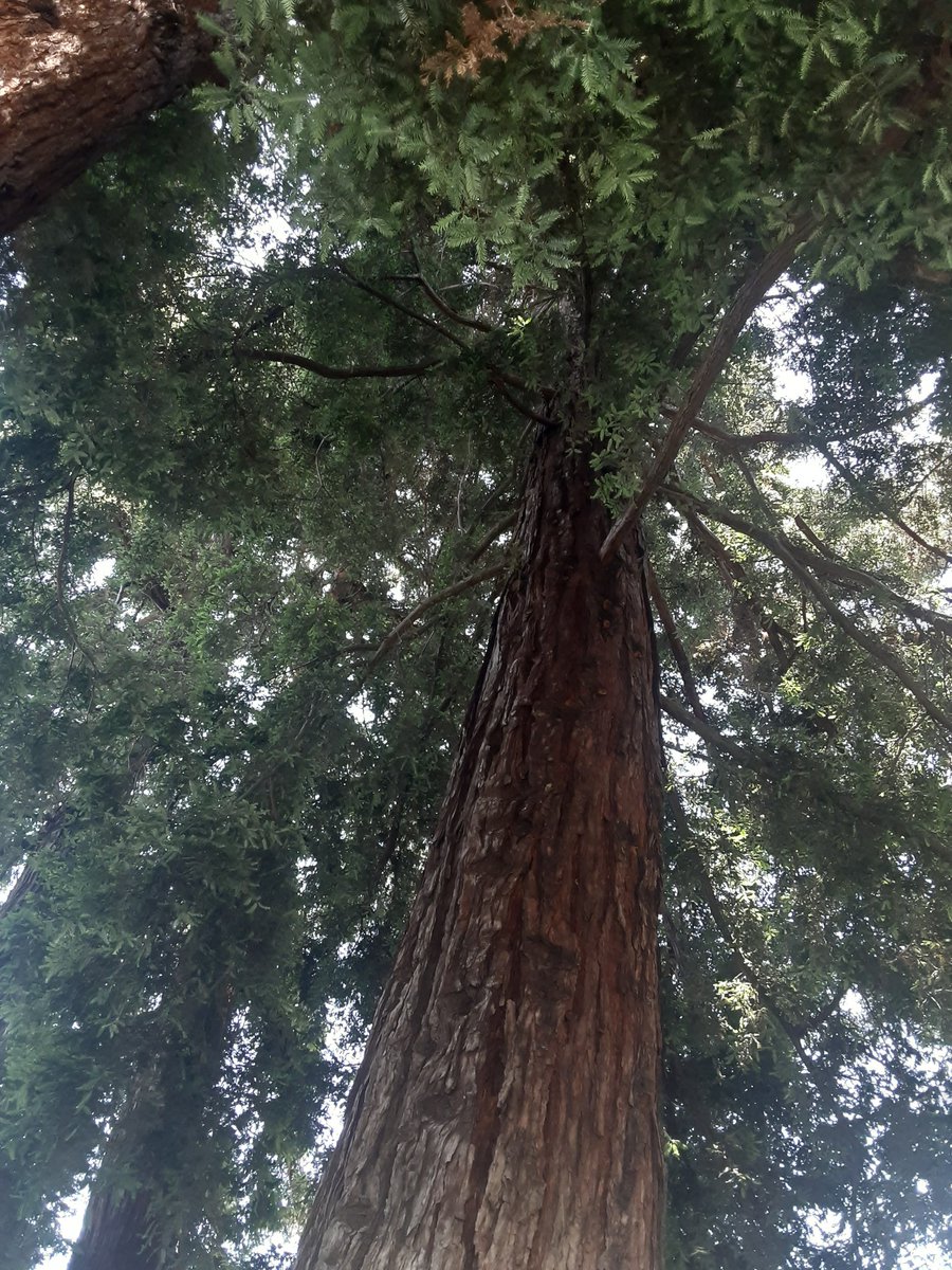 My family is very much like the crazy