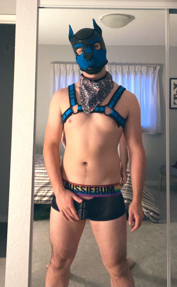 PupAryf's tweet photo. So who's tugging on my leash at Denfur?~ https://t.co/6yupXkb8Yd