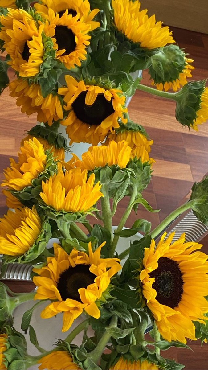 Make your life more colorful with sunflowers💛