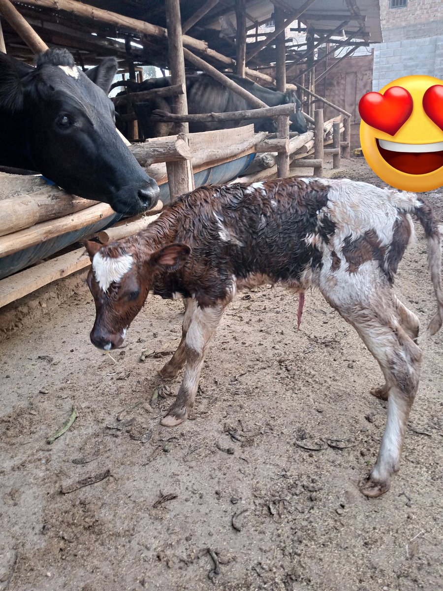 Morning blessings😍🥰🥰😘🙏