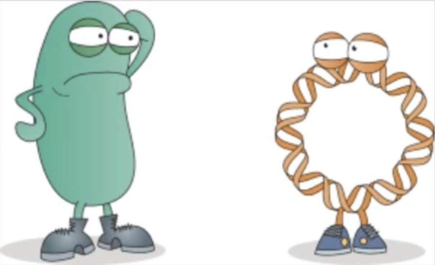jgi's tweet photo. #GenomeWatch: "A tale of two codes," on the coexistence of two parallel prokaryotic codes.
From Dongying Wu and Natalia Ivanova of the @JGI in @NatureRevMicro ➡️https://t.co/kMrCyF87DR⬅️
CC: @BerkeleyLab @doescience
(Art: Philip Patenall/Springer Nature Limited) https://t.co/TWGWDz1zRz