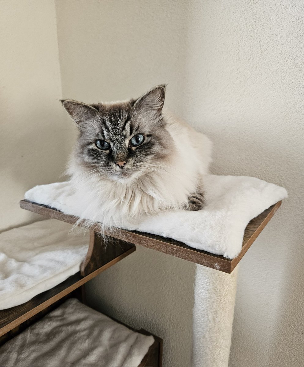 Casper & Yuri tweet media