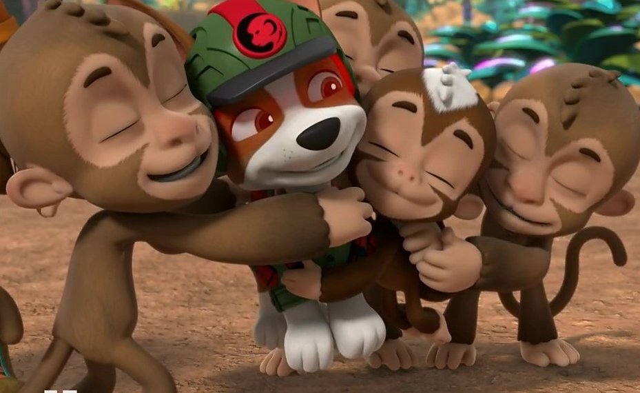 ZumaRockyFan21's tweet photo. These new monkeys have a thing for #Tracker. #JunglePups #PAWPatrol https://t.co/mUqfuFokz9